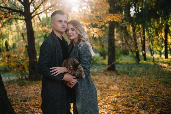 Genç çift sonbahar parkında dinleniyor, erkek kadını kucaklıyor..