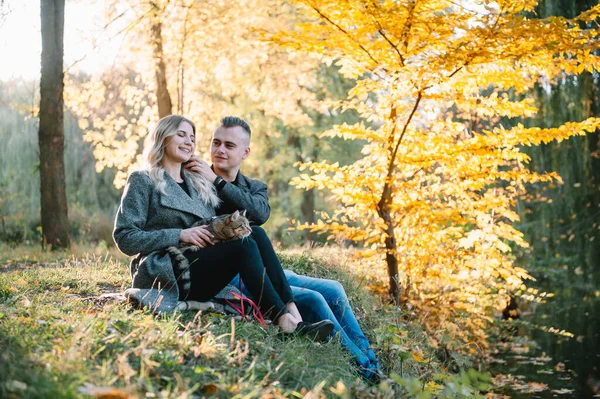 美丽的年轻夫妇在秋天的公园休息 秋天的概念 可爱的夫妻和他们的猫在一起休息 — 图库照片