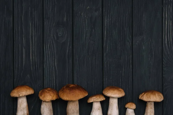 Setas Otoño Cep Cesta Con Setas Porcini Fondo Árbol Aire — Foto de Stock