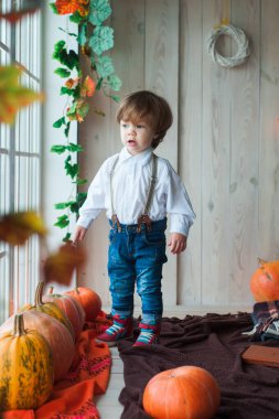 Sonbahar dönemindeki stil düşkünü küçük çocuk. Kırsalda eğlenen sevimli küçük bir çocuk. sonbahar temaları