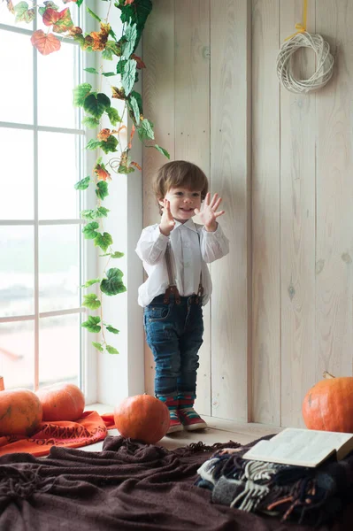 秋回归期的坏孩子 可爱的孩子正在享受乡村生活 秋季主题 — 图库照片