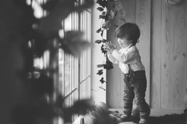 Stilish Little Boy Autumn Backgraund Cute Little Kid Having Enjoying — Stock Photo, Image
