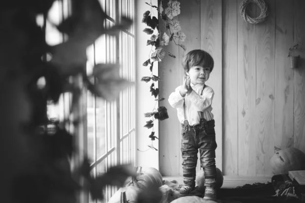 Стильный Маленький Мальчик Осенней Отсталости Милый Малыш Наслаждается Сельской Местностью — стоковое фото