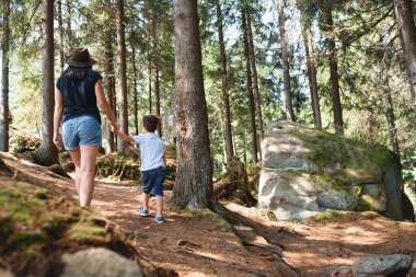 Genç anne ve küçük oğlu seyahat ediyorlar. Aile gezisi dağlarda. Ulusal Park. Çocuklarla yürüyüş. Aktif yaz tatili. Fisheye merceği