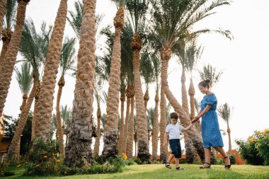 Şık bir anne ve yakışıklı bir oğul yeşil çimlerde eğleniyor. Mutlu aile kavramı. Aile hayatı olan güzel doğa manzarası. Mutlu bir aile birlikte dinleniyor. Anneler Günü