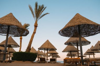 Malaga sahilinde şezlonglar ve saman şemsiyeler. Costa del Sol, Endülüs, İspanya