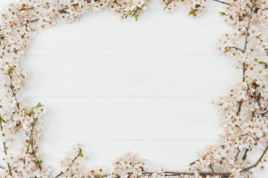 Tahta arka planda bahar çiçeği. Tahta arka planda bahar çiçekleri