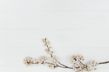 Bahar ve yaz beyaz çiçekler eski ahşap arka planda