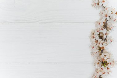 İlk çiçek. Yazın beyaz çiçekler ve eski ahşap arka planda. Mesajın için yer aç..