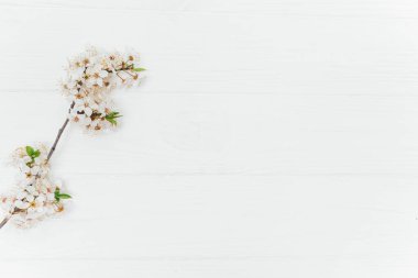 Bahar ve yaz beyaz çiçekler eski ahşap arka planda