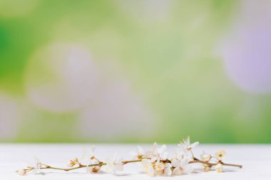 Çiçek açan kiraz dalı yeşil arka plandaki beyaz ahşap masada. İnanılmaz bir yay duvar kağıdı. Mesaj için yer. Bahar tazeliği.