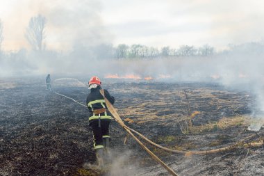 İtfaiyeci vahşi yangınla savaşıyor. İtfaiyeciler antrenman yapıyor. İtfaiyeciler yangın söndürme operasyonunda köpük ya da su kullanıyorlar..