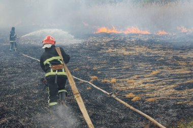 Avustralya çalı yangınları, ateş rüzgar ve sıcaklıkla körükleniyor. İtfaiyeciler yangına su sıkarlar.