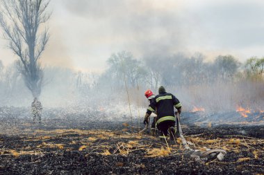 İtfaiyeciler büyük bir yangınla savaşıyor. Ekolojik felaket konsepti. Avustralya. Brezilya.