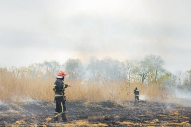 İtfaiyeciler büyük bir yangınla savaşıyor. İtfaiyeciler yangına su sıkarlar. Avustralya çalı yangınları, Ateş rüzgar ve ısıdan besleniyor.