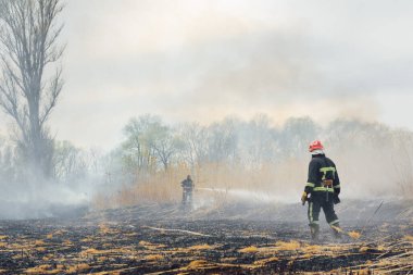 İtfaiyeci vahşi yangınla savaşıyor. İtfaiyeciler antrenman yapıyor. İtfaiyeciler yangın söndürme operasyonunda köpük ya da su kullanıyorlar..
