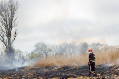 İtfaiyeciler yangına su sıkarlar. İtfaiyeci çalı yangınlarını söndürmek için çok çalışıyor.