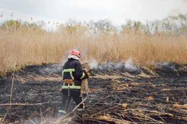 İtfaiyeciler büyük bir yangınla savaşıyor. Ekolojik felaket konsepti. Avustralya. Brezilya.