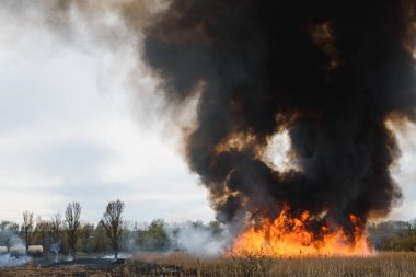 İtfaiyeciler büyük bir yangınla savaşıyor. Ekolojik felaket konsepti. Avustralya. Brezilya.
