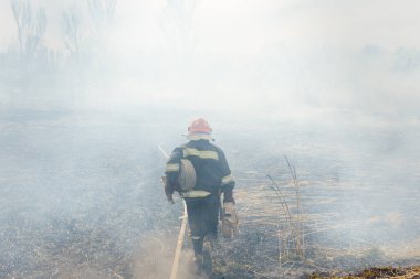 İtfaiyeciler büyük bir yangınla savaşıyor. İtfaiyeciler yangına su sıkarlar. Avustralya çalı yangınları, Ateş rüzgar ve ısıdan besleniyor.