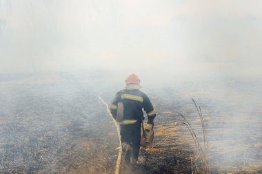 İtfaiyeciler büyük bir yangınla savaşıyor. İtfaiyeciler yangına su sıkarlar. Avustralya çalı yangınları, Ateş rüzgar ve ısıdan besleniyor.