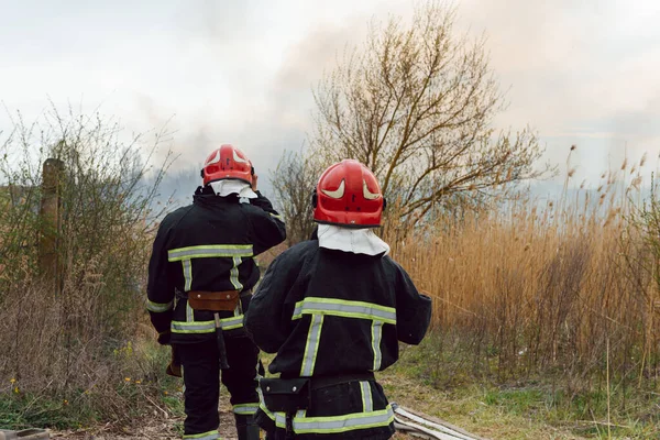 Hasiči Bojují Divokým Požárem Hasiči Rozstřikují Vodu Oheň Austrálie Ohně — Stock fotografie