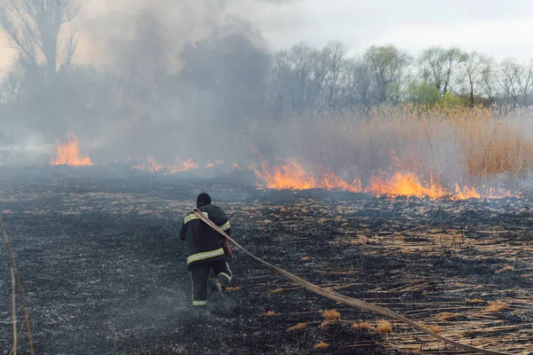 Los Bomberos Ayudaron Combatir Incendio Forestal — Foto de Stock