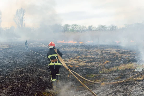 Batalla Bomberos Con Incendio Forestal Los Bomberos Están Entrenando Los — Foto de Stock