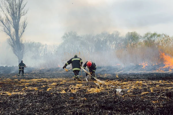 Los Bomberos Rocían Agua Los Incendios Forestales Bombero Trabajando Duro — Foto de Stock