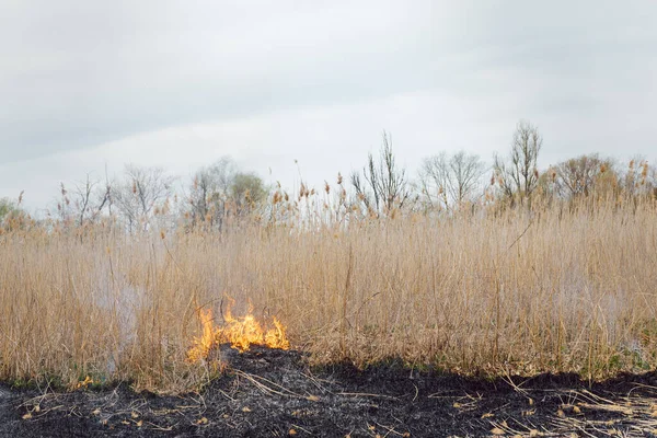 Firefighters battle a wildfire. Ecological disaster concept. Australia. Brazil.