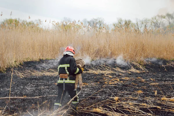 Los Bomberos Luchan Contra Incendio Forestal Concepto Desastre Ecológico Australia — Foto de Stock