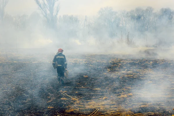 Los Bomberos Ayudaron Combatir Incendio Forestal — Foto de Stock