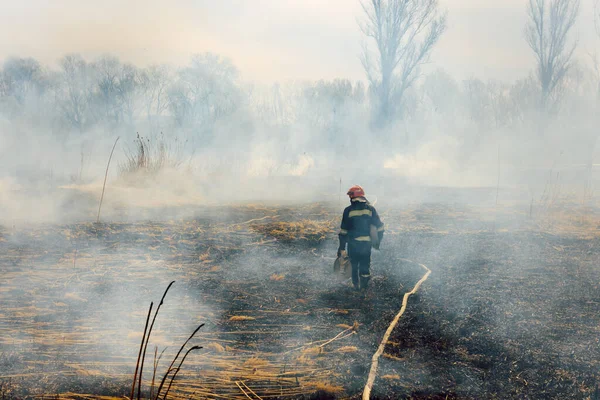 Australia Incendios Forestales Fuego Alimentado Por Viento Calor Bomberos Rocían — Foto de Stock