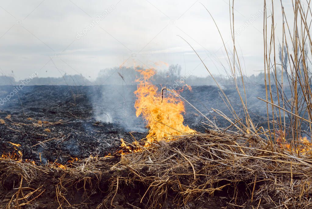 Firefighters battle a wildfire. Ecological disaster concept. Australia. Brazil.