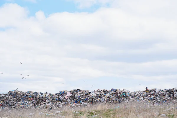 Mountain garbage, large garbage pile, degraded garbage. Pile of stink and toxic residue. These garbage come from urban areas, industrial areas. Consumer society Cause massive waste. Can not get rid of