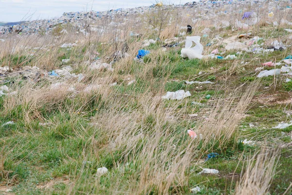 自然界の生態系汚染 山を背景に植物に絡まったビニール袋 地球環境汚染 プラスチックごみから土地をきれいにする — ストック写真