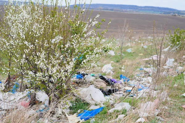 自然生态污染 塑料袋缠在高山背景下的植物中 全球环境污染 清除土地上的塑料碎片 — 图库照片