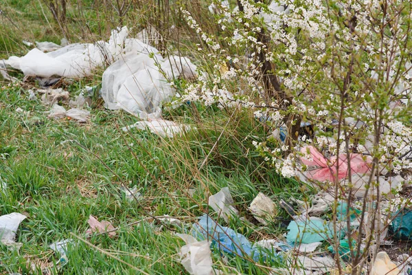 Contaminación Ecológica Naturaleza Bolsa Plástico Enredada Plantas Contra Telón Fondo — Foto de Stock