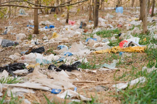 Contaminación Ecológica Naturaleza Bolsa Plástico Enredada Plantas Contra Telón Fondo — Foto de Stock