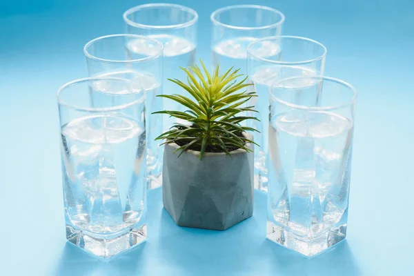 glasses with pure water and shadows on blue surface