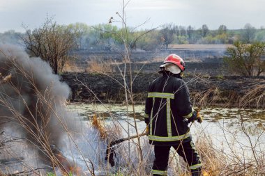 Kızgın orman bahar yangınları. Kuru otları yakıyor, göl boyunca kamış yakıyor. Çayırda çimler yanıyor. Ekolojik felaket. Ateş ve duman tüm yaşamı yok eder. İtfaiyeciler büyük yangını söndürür. Çok duman var.