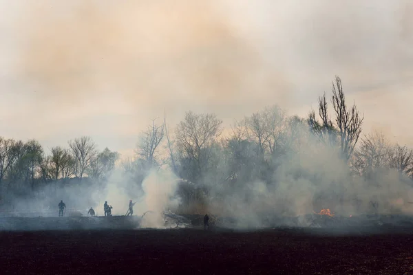 Hasiči Akci Bojují Ohněm Vysoké Letní Teploty Způsobují Požár — Stock fotografie