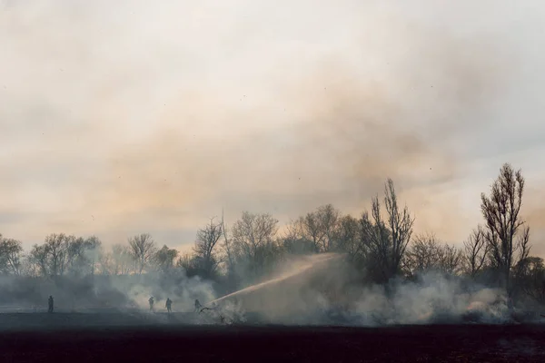 Firefighter battle with the wildfire. Firefighters are training. Firemen are using foam or water in fire fighting operation.