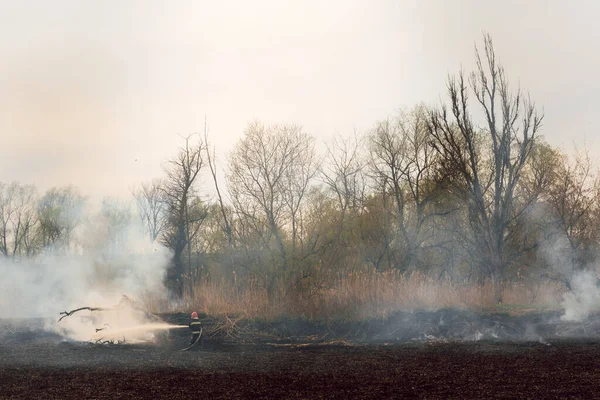 Fire department in action, fighting the fire. The high summer temperatures produce fire