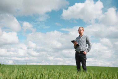 Genç buğday tarlasında elinde tabletle dikilen ve mahsulleri inceleyen çiftçinin portresi.