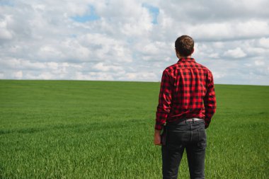 Genç tarım uzmanının elinde yeşil buğday tarlasında tablet dokunmatik tablet bilgisayarı var. Tarım sektörü konsepti. Yazın elinde tabletle bir buğday tarlasında duran tarım mühendisi