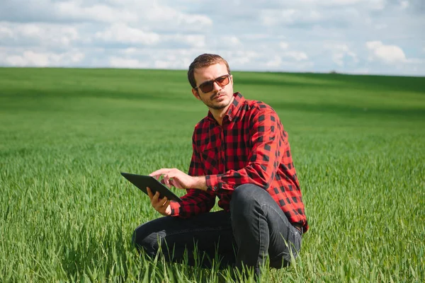 Genç buğday tarlasında elinde tabletle dikilen ve mahsulleri inceleyen çiftçinin portresi.
