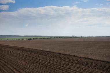 Tarlaya sürülmüş. Tarım, mahsul kavramı.