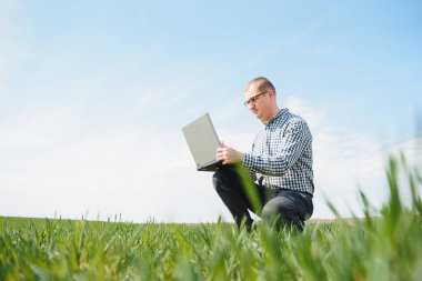 Dizüstü bilgisayarı olan çiftçi tarlada buğday denetliyor.