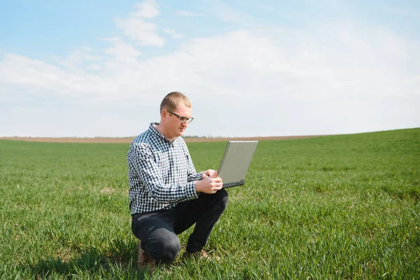 Agricultor Campo Trigo Olhando Para Laptop Estão Examinando Corp Conceito — Fotografia de Stock